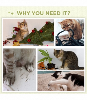 Cat Tree 52cm Green Brown Beige Particle board Velvet Sisal 43W x 39D x 52Hcm