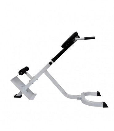 Back Extension Bench