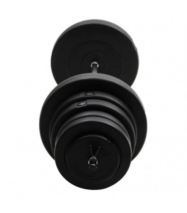 Barbell with Plates 90 kg