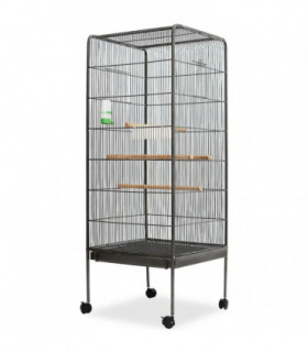 Bird Cage Black 54x54x146 cm Steel