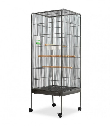 Bird Cage Black 54x54x146 cm Steel