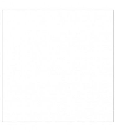 Dog Kennel Silver 100 m² Steel