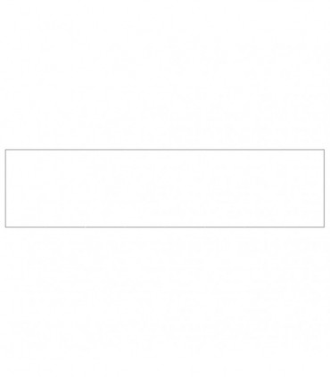 Dog Kennel Silver 16 m² Steel