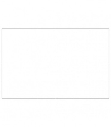 Dog Kennel Silver 24 m² Steel