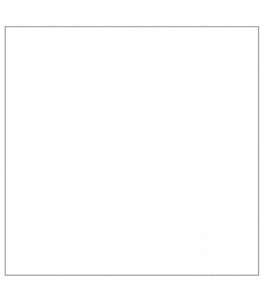 Dog Kennel Silver 25 m² Steel