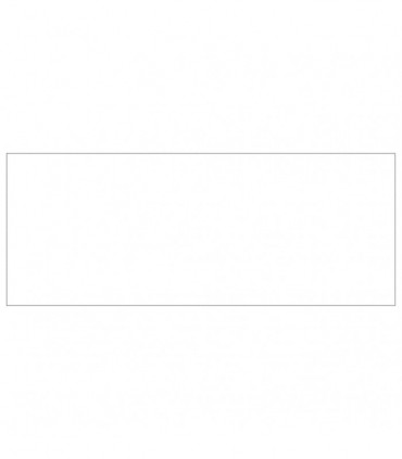 Dog Kennel Silver 40 m² Steel