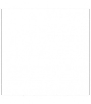 Dog Kennel Silver 64 m² Steel