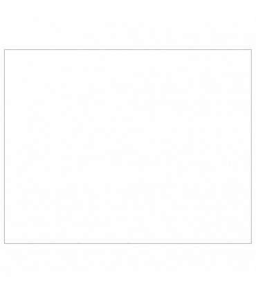 Dog Kennel Silver 80 m² Steel