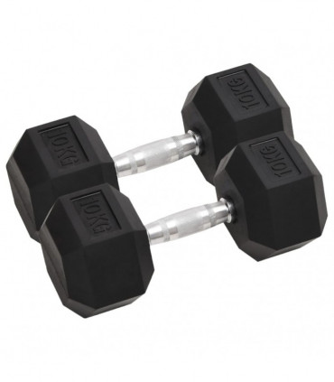 Dumbbells 2 pcs 20 kg Cast Iron
