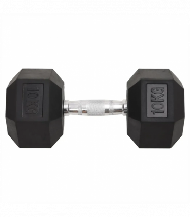 Dumbbells 2 pcs 20 kg Cast Iron