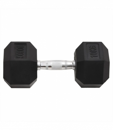 Dumbbells 2 pcs 20 kg Cast Iron