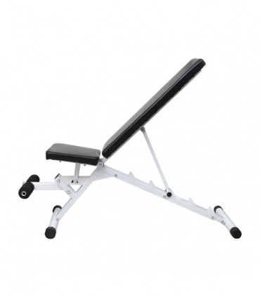 Fitness Workout Utility Bench