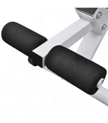 Fitness Workout Utility Bench