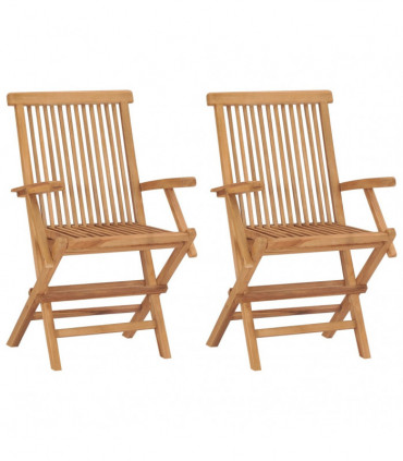 Folding Garden Chairs 2 pcs Solid Teak Wood