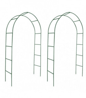 Garden Arch 2 pcs Climbing Plants