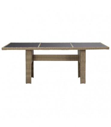 Garden Dining Table Brown 200x100x74 cm Glass and Poly Rattan