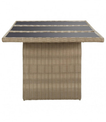 Garden Dining Table Brown 200x100x74 cm Glass and Poly Rattan