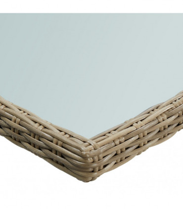 Garden Dining Table Brown 200x100x74 cm Glass and Poly Rattan