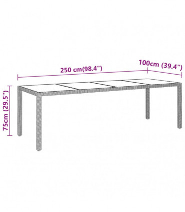 Garden Table 250x100x75 cm Tempered Glass and Poly Rattan Grey
