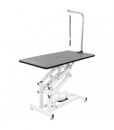 Hydraulic Bath Grooming Table for Dogs Cats Pets Adjustable