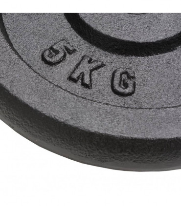 Weight Plates 4 pcs 4x5 kg Cast Iron