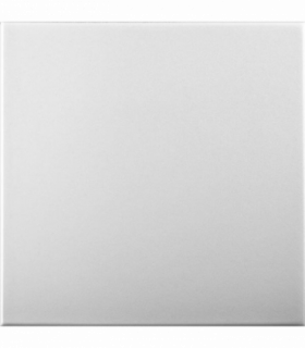 White Blank: Decorative Ceiling & Wall Panels - 2m2 (21.52 sqft) - 8 Panels