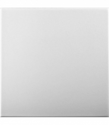 White Blank: Decorative Ceiling & Wall Panels - 2m2 (21.52 sqft) - 8 Panels