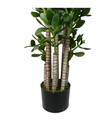 Artificial Deluxe Green Jade Plant 75cm Large Hyper Realistic Weighted Pot