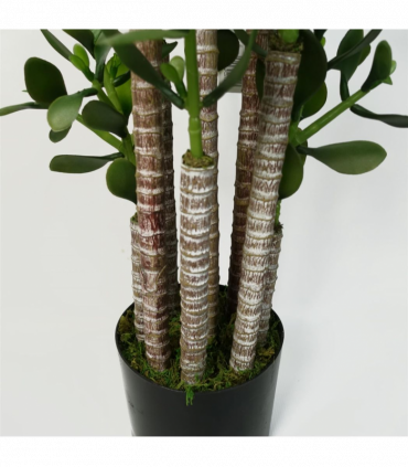 Artificial Deluxe Green Jade Plant 75cm Large Hyper Realistic Weighted Pot