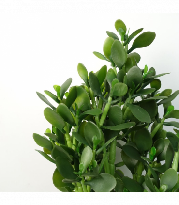 Artificial Deluxe Green Jade Plant 75cm Large Hyper Realistic Weighted Pot