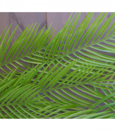 Pack of 12 x 120cm Artificial Hanging Palm Plant