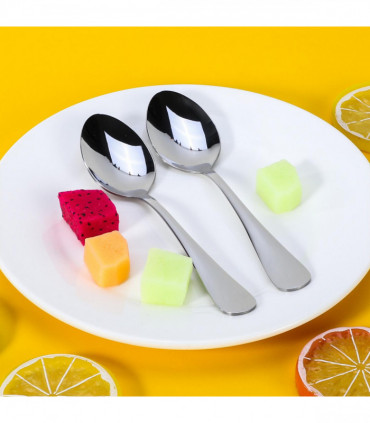 Vinsani 12pcs SS Tea Spoons 1010092