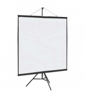 vidaXL Projection Screen with Tripod 81 Inch 1:1