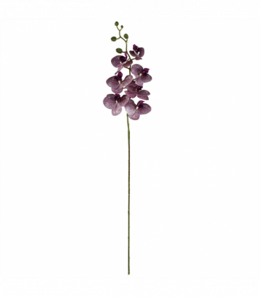 Pack of 6 x 100cm Artificial Phalaenopsis Orchid Purple Stem - 42 Flowers