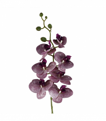 Pack of 6 x 100cm Artificial Phalaenopsis Orchid Purple Stem - 42 Flowers