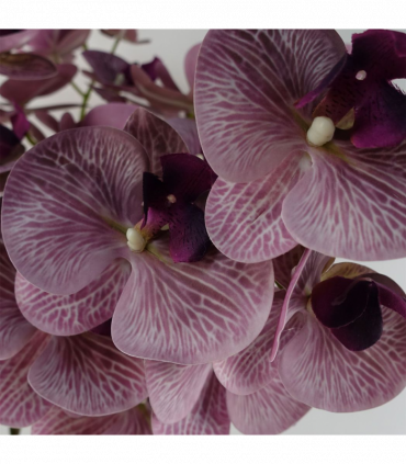 Pack of 6 x 100cm Artificial Phalaenopsis Orchid Purple Stem - 42 Flowers