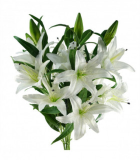 Pack of 6 x 100cm Large White Lily Stem - 18 Flowers