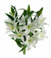 Pack of 6 x 100cm Large White Lily Stem - 18 Flowers