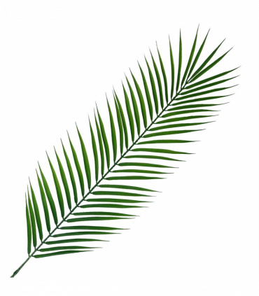 Pack of 6 x 100cm Realistic Artificial Palm Leaf