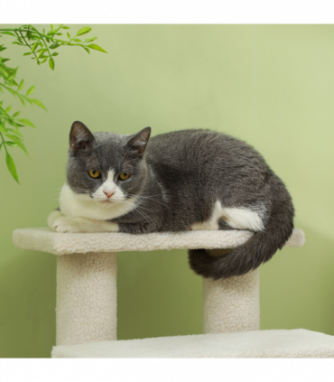 Pet Ramp Stairs 4 Steps Cat Tree Ladder Safety Steps Climbing Frame Brown