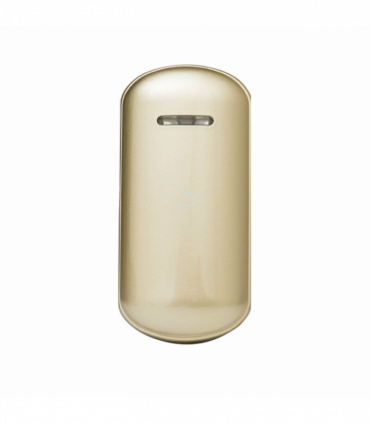 Portable Nano Mist Sprayer Handheld, Gold