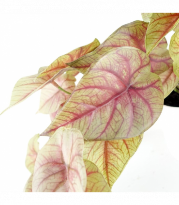 Artificial Pink Caladium Potted Trailing Plant 30cm Green Dark Pink Plastic