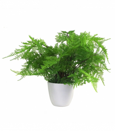 Artificial Fern Plant