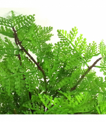 Artificial Fern Plant Green 30cm Realistic Leaf Design Wired Stems Plastic Pot