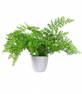 Artificial Fern Plant 30cm Forest Fern Green Plastic 30cm Tall x 40cm x 40cm
