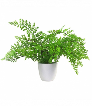 Artificial Fern Plant 30cm Forest Fern Green Plastic 30cm Tall x 40cm x 40cm