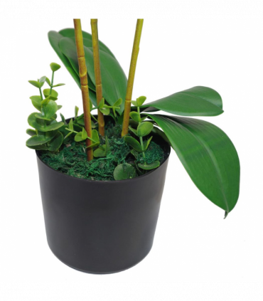 Large Artificial Orchids Display with XL Metal Bowl Planter 70x70cm