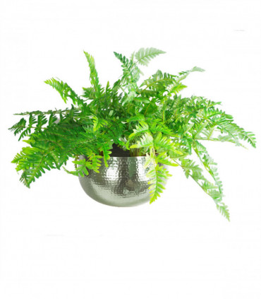 Leaf Large Metal Planter Bowl 32 x 20cm Hammered Silver Colour - Straight Edge