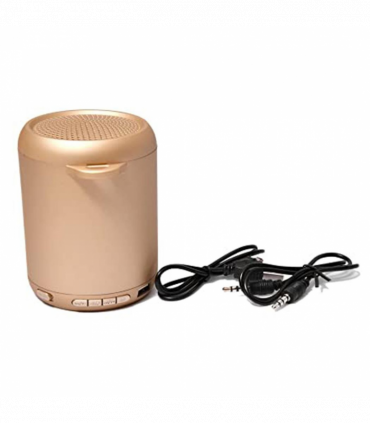 NBY Small Sound Activate LED Light Bluetooth Speaker And Dancing Fountain, Gold