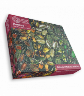 Natural History Museum - Beetles 1000 Piece Jigsaw Puzzle